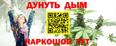прущие грибы Бузулук