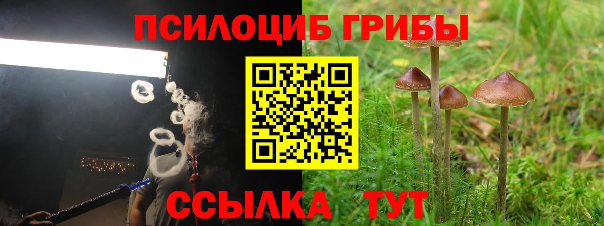Киреевск  Галлюциногенные грибы Magic Shrooms  Вход с VPN 